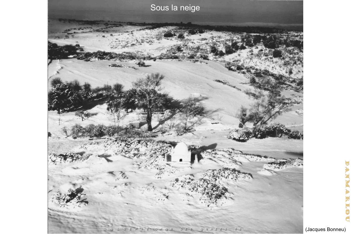 173- ARMEE DE L'AIR EN ALGERIE 1945-1962-21 (47).jpg